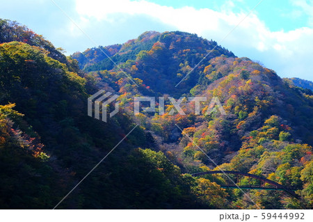 那須の紅葉 59444992