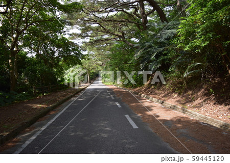 石垣島の道路 59445120