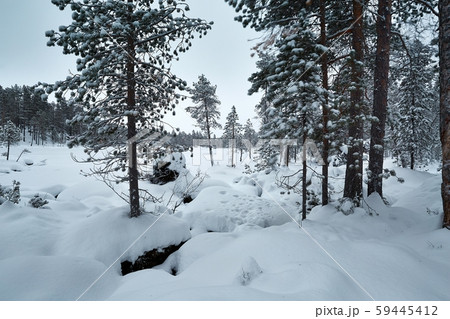 Winter Snowy Landscape Winter Snowy Landscape 59445412