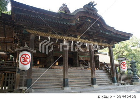 金刀比羅宮 59445459