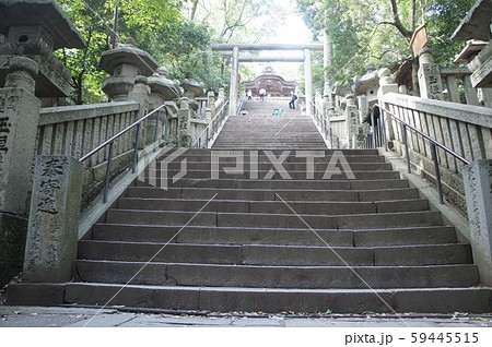 金刀比羅宮 59445515