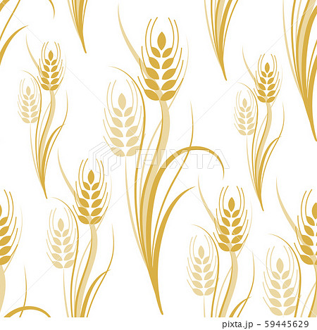 Seamless pattern with yellow wheat spikelets on a white isolated background. Vector illustration Seamless pattern with yellow wheat spikelets on a white isolated background. Vector illustration 59445629