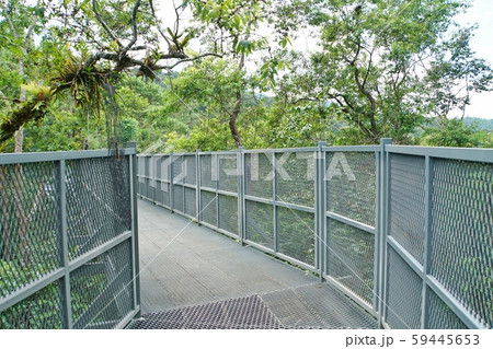 Canopy Walks in Queen Sirikit Botanic Garden 59445653