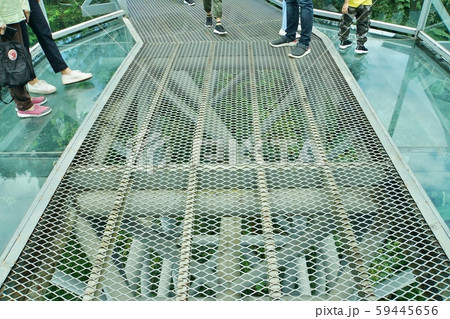 Canopy Walks in Queen Sirikit Botanic Garden 59445656