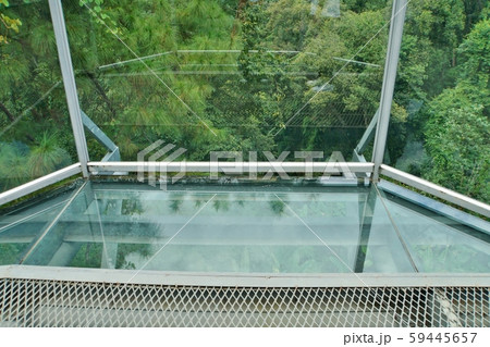 Canopy Walks of Queen Sirikit Botanic Garden in Ch 59445657