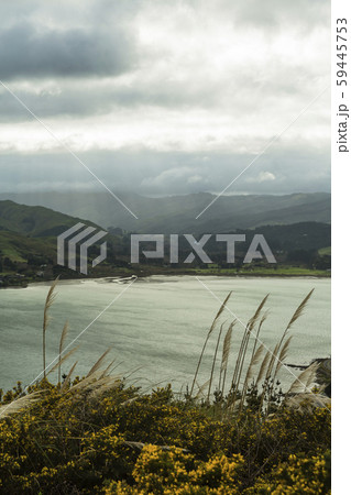 ニュージーランド　ポリルア　Spinnaker Summit Lookout 59445753