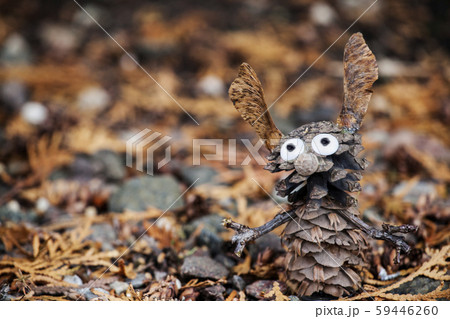 cone dry thuja tree background cone dry thuja tree background 59446260