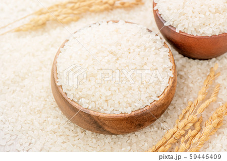 ごはん イネ 米 59446409