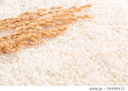 ごはん イネ 米 59446412
