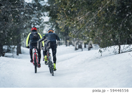 Rear view of mountain bikers riding on road in forest outdoors in winter. 59446556