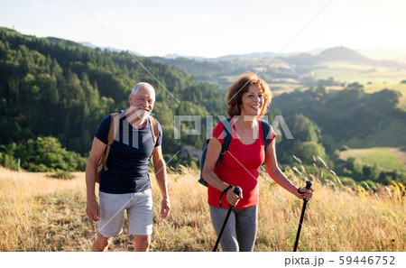 Senior tourist couple travellers hiking in nature, walking and talking. Senior tourist couple travellers hiking in nature, walking and talking. 59446752