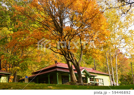 北海道の紅葉　旭川市神居古潭（かむいこたん） 59446892