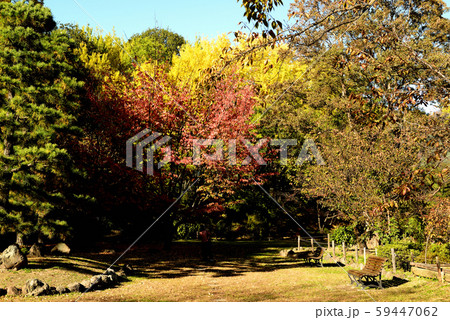 信州城下町 上田市の紅葉 信州城下町 上田市の紅葉 59447062