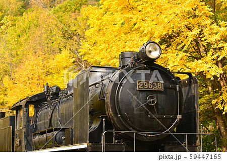 北海道の紅葉　ＳＬと紅葉 59447165