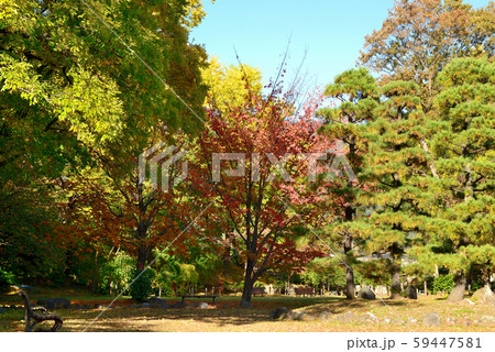 信州城下町 上田市の紅葉 信州城下町 上田市の紅葉 59447581