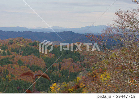 スキー場 59447718