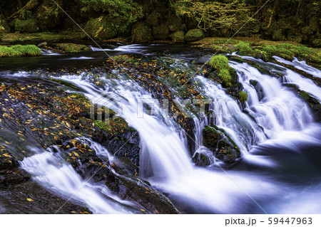 秋の色に染まりはじめる菊池渓谷 秋の色に染まりはじめる菊池渓谷 59447963