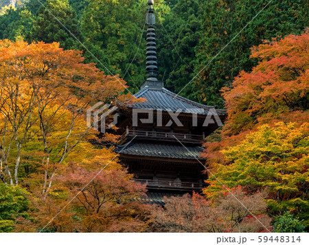 紅葉の高源寺 紅葉の高源寺 59448314