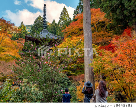 紅葉の高源寺 59448393