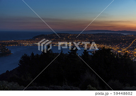 ニュージーランド ダニーデン 夕焼けに染まったダニーデンの街 ニュージーランド ダニーデン 夕焼けに染まったダニーデンの街 59448602