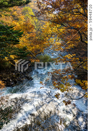 栃木　日光　湯川　竜頭の滝付近　紅葉 59448710