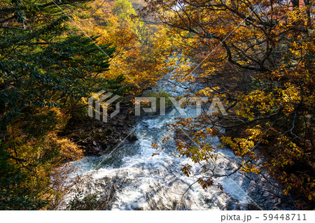 栃木　日光　湯川　竜頭の滝付近　紅葉 59448711