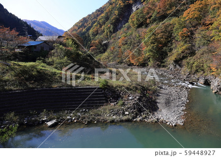 雑炊橋付近 梓川の紅葉 59448927
