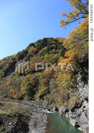 雑炊橋付近 梓川の紅葉 59448930