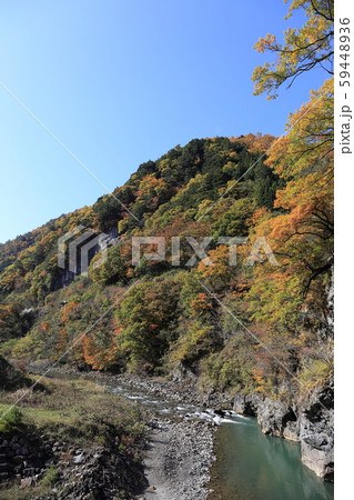 雑炊橋付近 梓川の紅葉 59448936