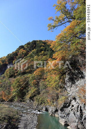雑炊橋付近 梓川の紅葉 59448941