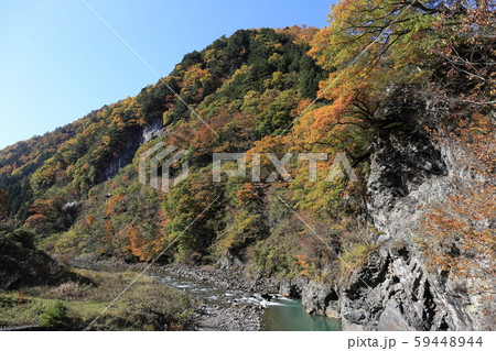 雑炊橋付近 梓川の紅葉 59448944
