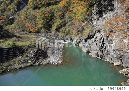 雑炊橋付近 梓川の紅葉 59448946