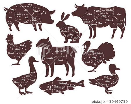 Butcher diagrams. Cutting lines different parts domestic farm animals silhouettes. Outline meat Butcher diagrams. Cutting lines different parts domestic farm animals silhouettes. Outline meat 59449759