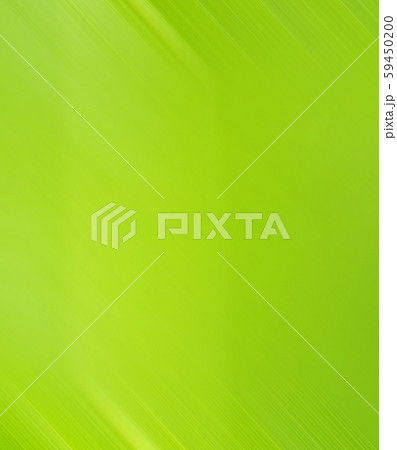 Abstract  green color and blurred background 59450200
