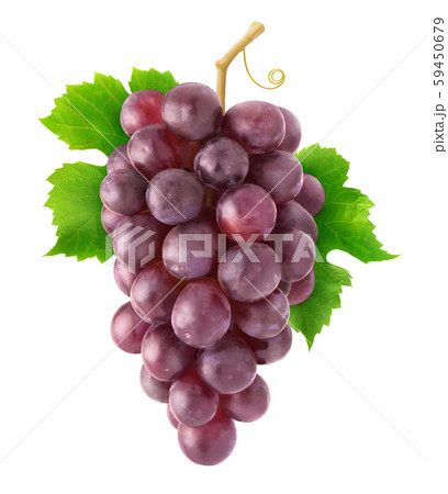 Isolated bunch of red grapes Isolated bunch of red grapes 59450679