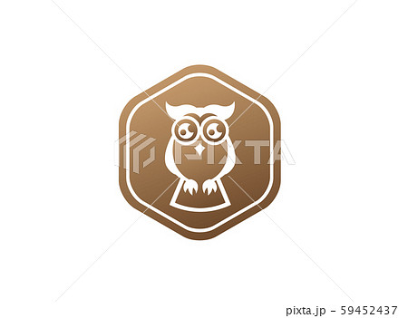 Owl open eyes for logo design illustration, wise Owl open eyes for logo design illustration, wise 59452437