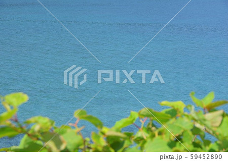 夏イメージ 夏イメージ 59452890