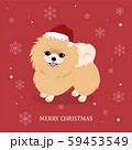 Card with pomeranian dog in Christmas santa hat. Lettering inscription. Vector Illustration. 59453549