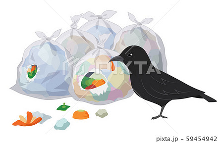 ゴミ置き場のゴミ袋をあさるカラスのイラストのイラスト素材
