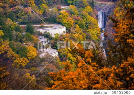 奥日光　いろは坂　 紅葉 59455000