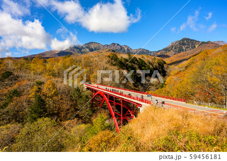 清里高原　紅葉の東沢橋と八ヶ岳 59456181