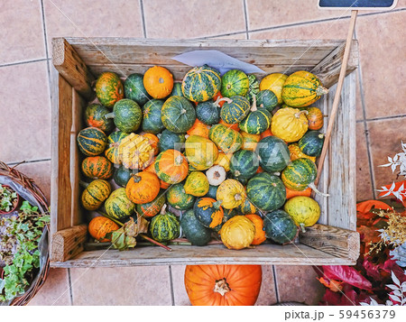 Variety of pumpkins in baskets and boxes for sale 59456379