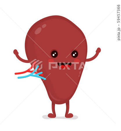 Strong healthy happy spleen character.  59457366