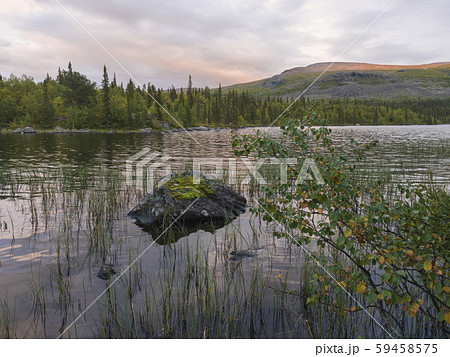 Orange pink sunset over lake Sjabatjakjaure in Parte in Sweden Lapland. Mountains, birch trees 59458575