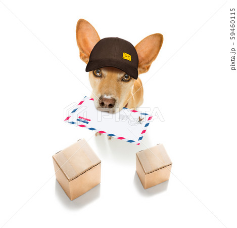 dog mail deliver   postal post man 59460115