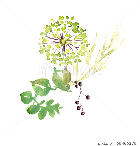 Wedding bridal romanric rustic soft flowers bouquet . Hand drawing watercolor pink and purple and Wedding bridal romanric rustic soft flowers bouquet . Hand drawing watercolor pink and purple and 59460279