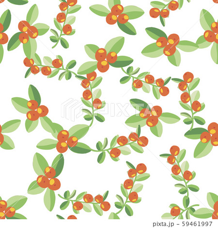 Hand drawn colorful seamless pattern with Tangerines. Vector wallpaper with ripe citrus fruits 59461997