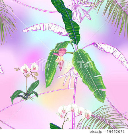 Seamless pattern, background. with tropical plants Seamless pattern, background. with tropical plants 59462071
