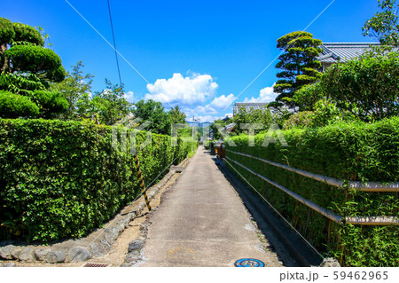 土居廓中 土居廓中 59462965