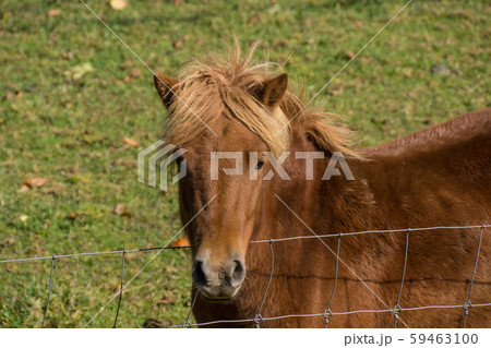 どさんこ どさんこ 59463100